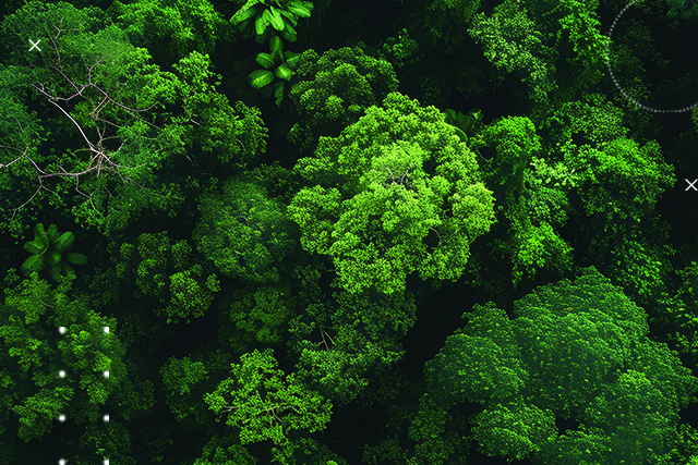 Compensação por TCRAE / Doação para Parque